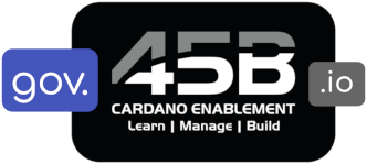 45B